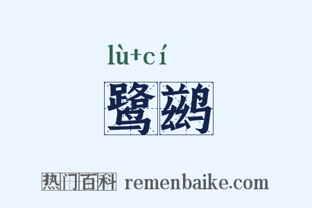 鹭鹚是什么意思的图片